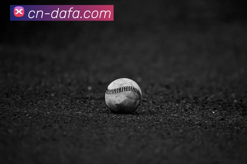 大发彩票平台生态图